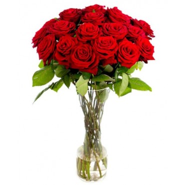 Red Roses for Home or Office